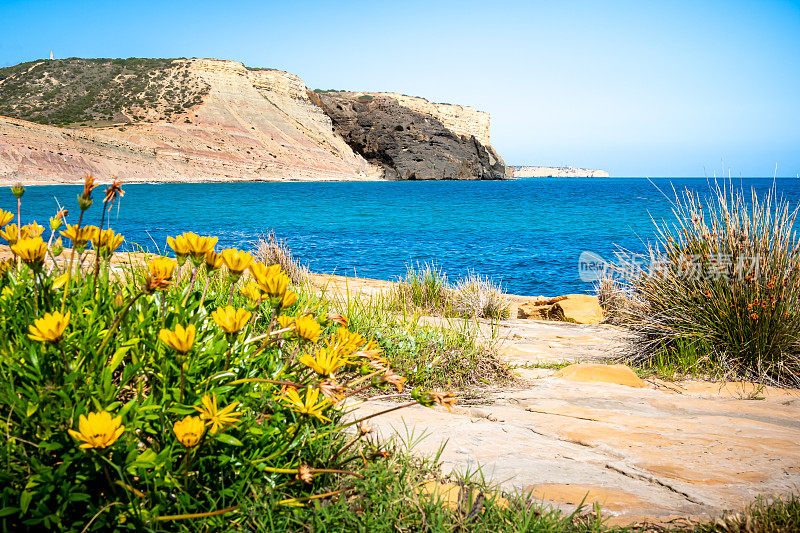 岩石海岸和一丛丛黄色的花和草构成了Luz海湾的宁静景色，中心是著名的黑色悬崖Rocha Negra，远处是灯塔Farol da Ponta da Piedade。